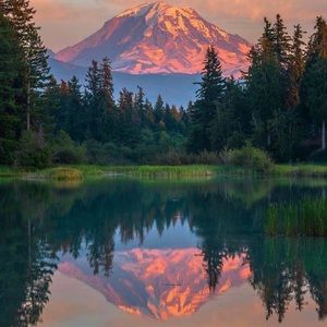 Meet your Posher, Willy